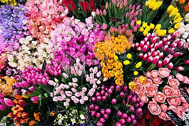 大神自制UE5《塞尔达传说：时之笛》再曝新视频